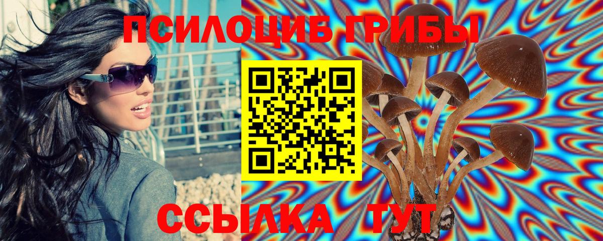 Галлюциногенные грибы GOLDEN TEACHER Мирный