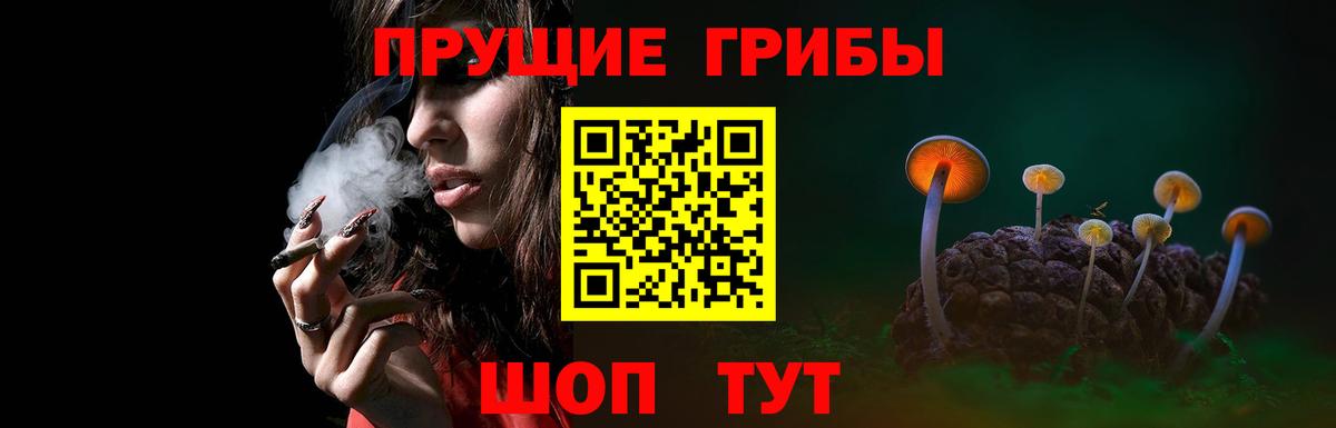 Мирный  Галлюциногенные грибы MAGIC MUSHROOMS  Вход с VPN 